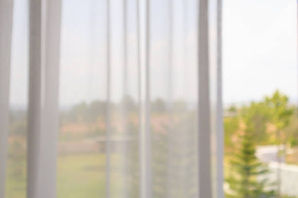 istock window curtain with green garden abstract blur background 1169459905