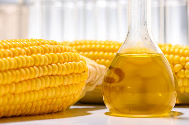 istock Biofuel from corn, oil and biofuel solution. 1169460479