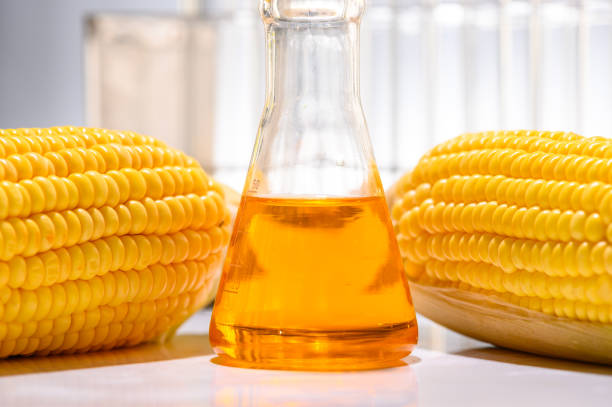 istock Biofuel from corn, oil and biofuel solution. 1169460482