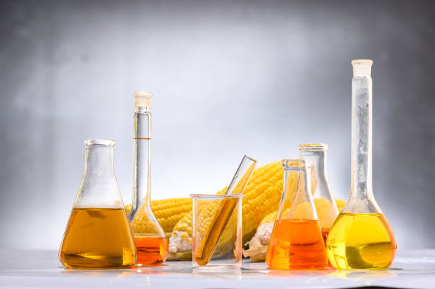istock Biofuel or Corn Syrup, gasoline, energy, environmentalist 1169460485