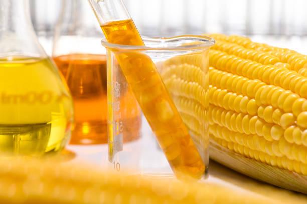 istock Biofuel or Corn Syrup, gasoline, energy, environmentalist 1169460505