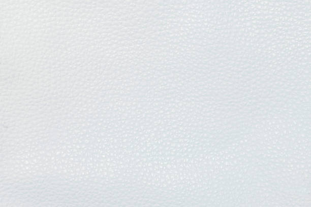 istock Abstract White Leather Texture used as luxury classic background or upholstery pattern sofa furniture, Leather dyeing industry product export for the country. Clean painted wall for publication. 1169475061