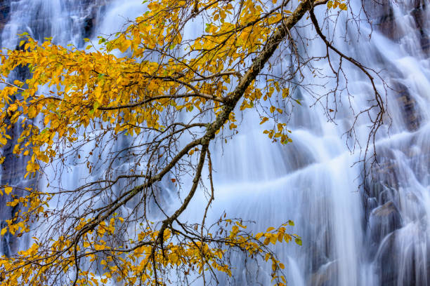 Lower Bertha Falls in Waterton National Park in the Canadian Rockies