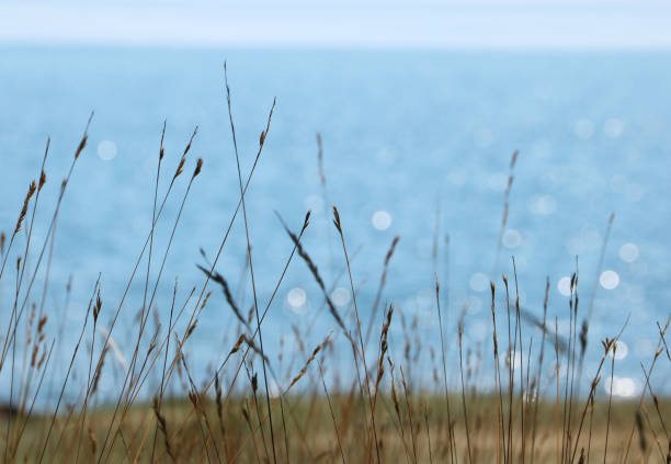 istock Sunny day by the lake 1169475567