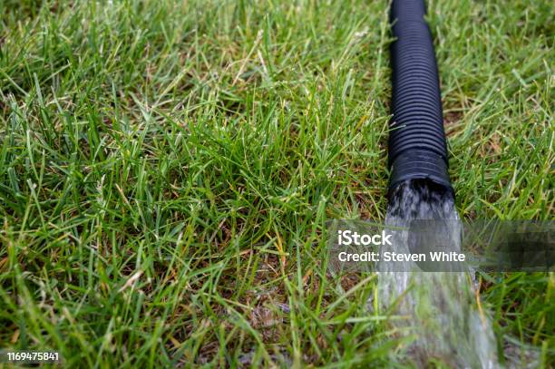 Residential Sump Pump Discharging Water From The End Of A Flexible Black Hose Stock Photo - Download Image Now