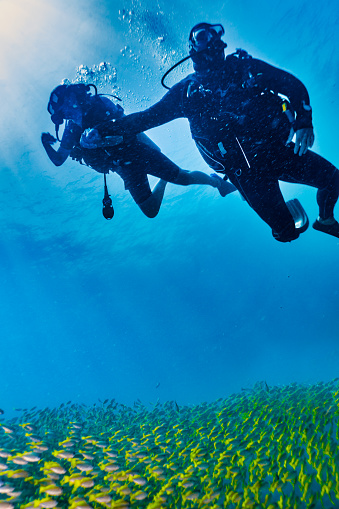 Andaman sea, Thailand - July 22 2019:  Two people are holding hands whilst scuba diving underwater.  They swim over a large shoal of yellow Bigeye Snapper (Lutjanus lutjanus).  Representing the new generation of eco tourist who choose to enjoy nature on vacation.