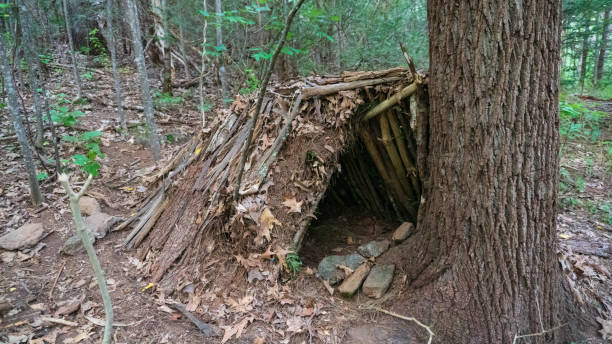 Bushcraft Survival A frame Debris Hut Shelter. Primitive Makeshift camping in the forest wilderness of the Blue Ridge Mountains. stock photo