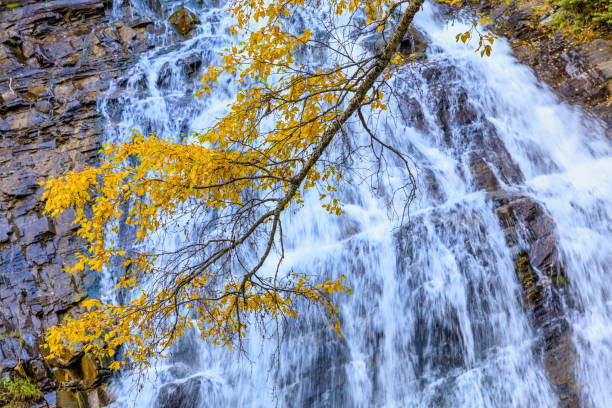 Lower Bertha Falls in Waterton National Park in the Canadian Rockies