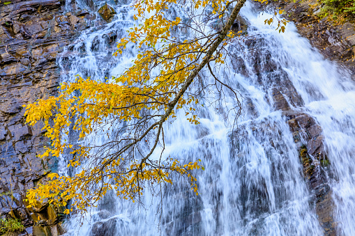Lower Bertha Falls in Waterton National Park in the Canadian Rockies