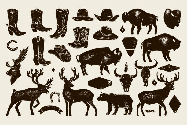 illustrations, cliparts, dessins animés et icônes de grand ensemble de hand draw vintage indigènes signes américains de cerfs, buffles, bottes et chapeaux de cowboy, crânes de vache, ours. - bison nord américain