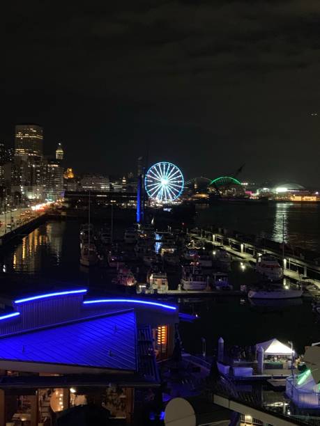 istock Elliott Bay Marina at Night 1169479157