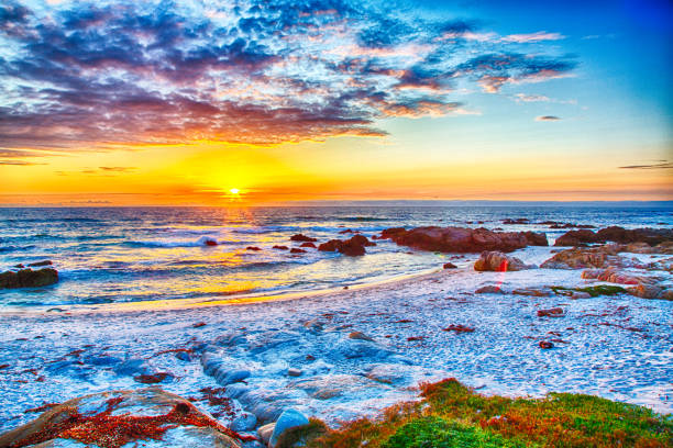 istock Carmel Coastline 17 Mile Drive 1169480852