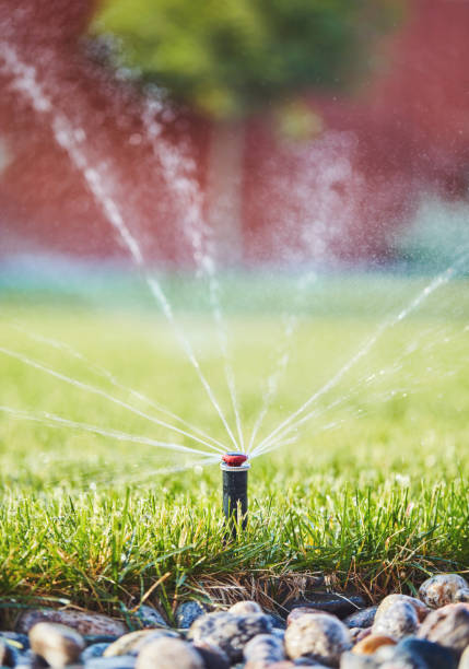 istock Irrigation. Watering lawn in summer from sprinkler system 1169481850