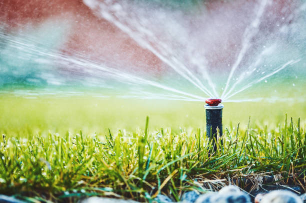 istock Irrigation. Watering lawn in summer from sprinkler system 1169481874