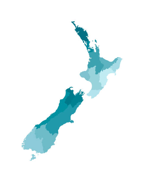 ilustraciones, imágenes clip art, dibujos animados e iconos de stock de ilustración aislada vectorial del mapa administrativo simplificado de nueva zelanda. fronteras de las regiones. siluetas de colores azules caqui - auckland region