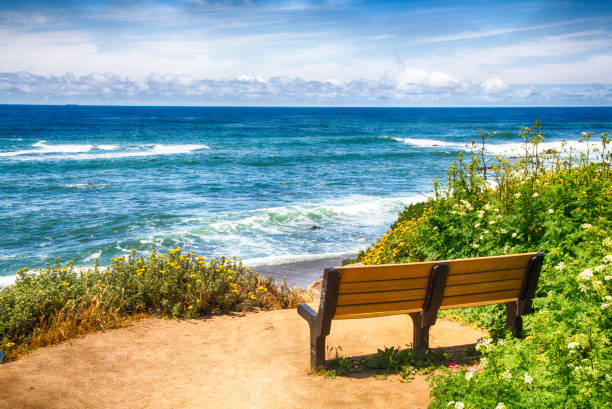 istock California Coastline 1169482494