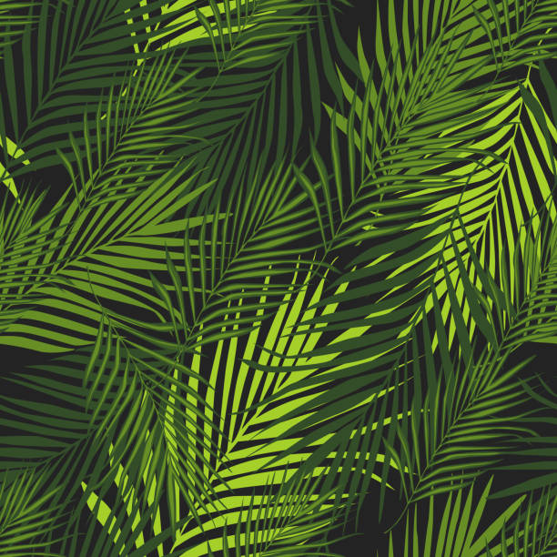 Tropical Pattern Vector Botanical Background Palm Leaves Wallpaper Stock  Illustration - Download Image Now - iStock