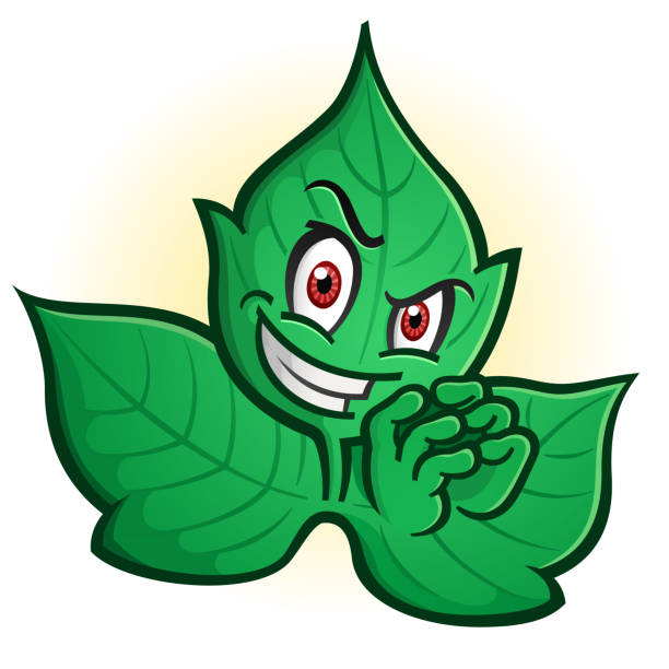 Evil Poison Ivy Villain Cartoon Character An evil sinister poison ivy villain plotting an evil scheme while tapping his fingers together in a conniving gesture smirk stock illustrations