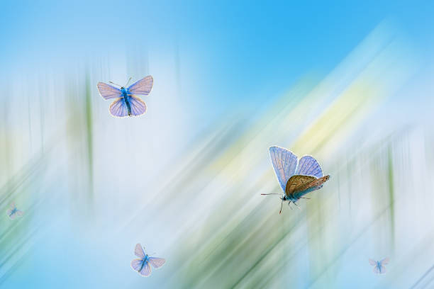 istock Abstract pastel light color background, soft lines for design, 1169485477
