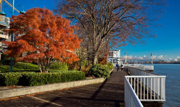 Promenade  quay at Fraser River Promenade  quay on the  riverfront of Fraser River  in New Westminster city,  three bridges over the river at autumn time new westminster stock pictures, royalty-free photos & images