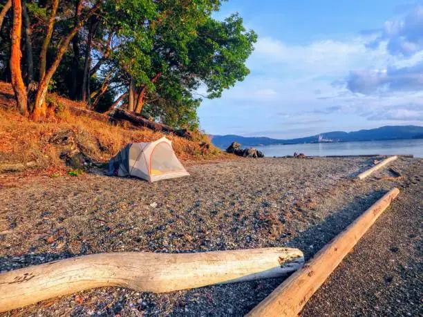 A beautiful remote camping location on a sandy beach along the ocean beside the forest.  It is a sunny summer evening on Tent Island, in British Columbia, Canada.