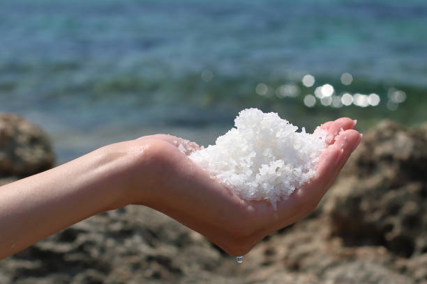 A picture of the sea salt in the hand. The salt is still wet.