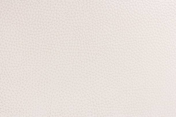 istock Beautiful white leather textured backdrop for your design. Seamless beige colored fabric texture. Ivory color paper background. 1169492704