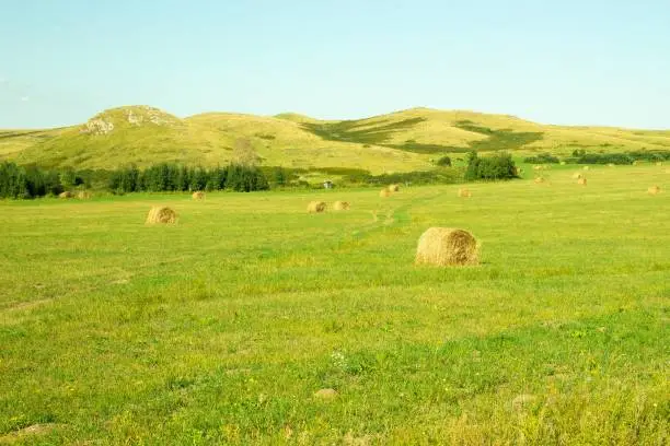 Photo of View of a field with sheaves on a background of mountains. Rural landscape.