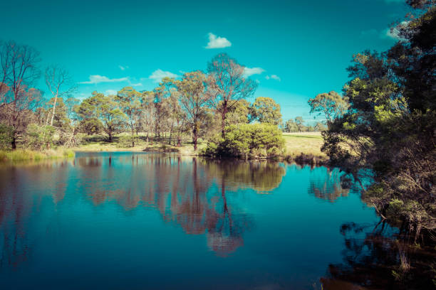 istock Trees and bushes reflecting in a beautiful pond on bright sunny day 1169495319