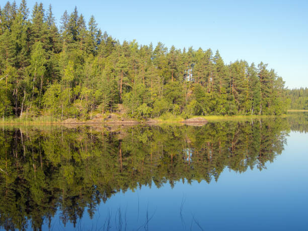 istock landscape on a forest lake in morning 1169496155