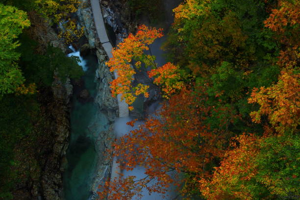 istock Akita Prefecture, Autumn Valley 1169496795