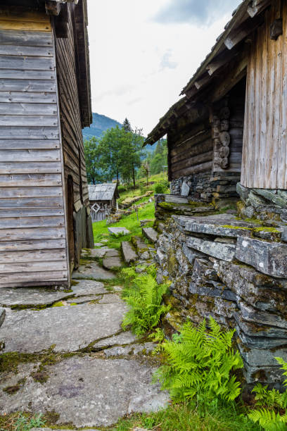 istock Nesheim Farmstead near Voss in Norway 1169497961