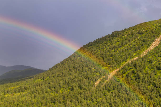 istock Rainbow and mountians in Norway 1169497968