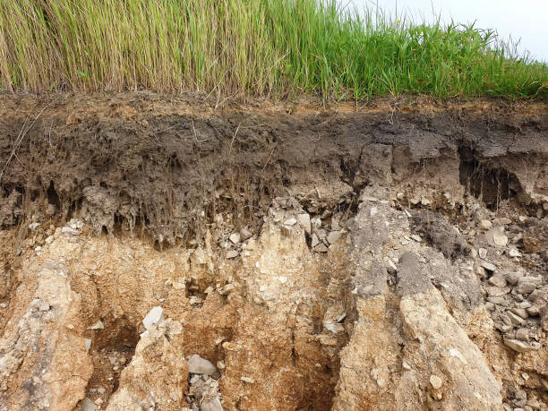 istock Soil cut due to landslide 1169498187