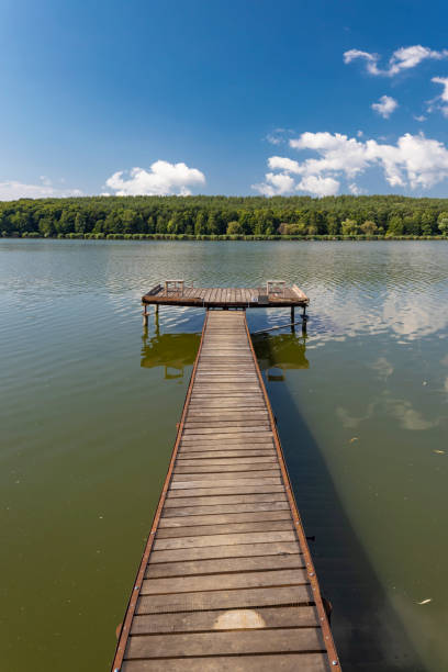 istock Pier on the pond Jenoi-to, Hungary 1169500973
