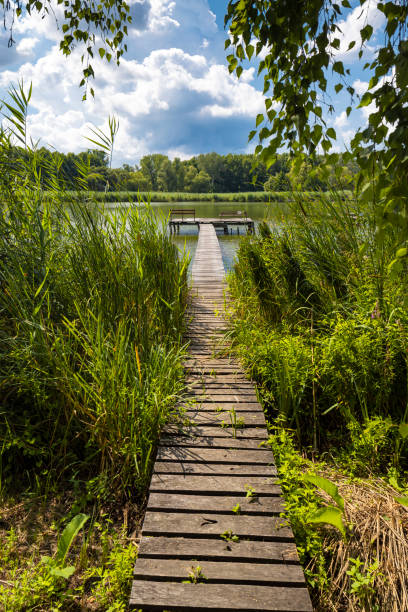 istock Pier on the pond Jenoi-to, Hungary 1169501030