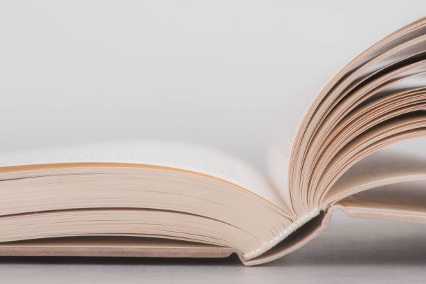 istock Opened book close-up education 1169502119