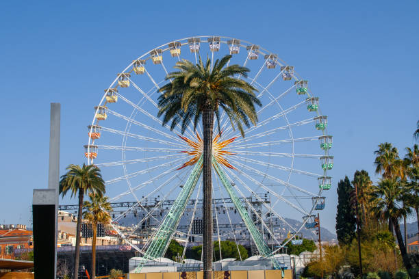 istock Fair Ferris Wheel behind a big palm tree 1169512598