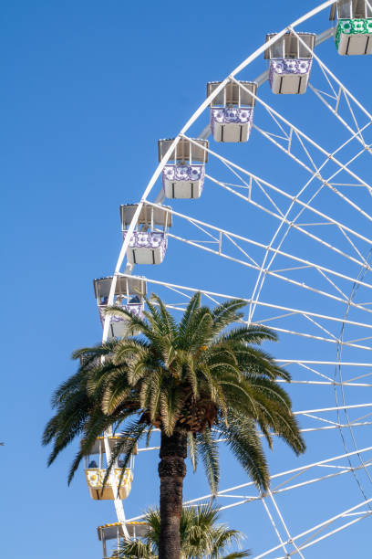 istock Fair Ferris Wheel behind a palm tree 1169513401