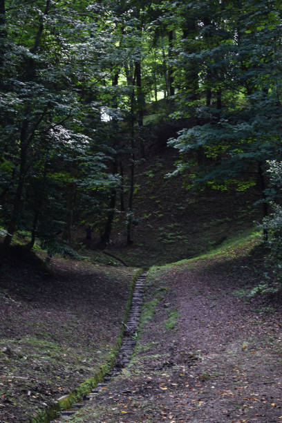 istock Pond and waterfall among forests of a park. 1169516419