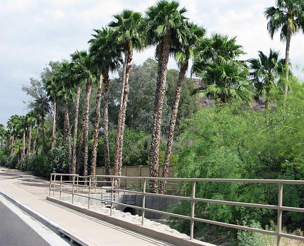istock Lock On Canal in Arizona 116951735