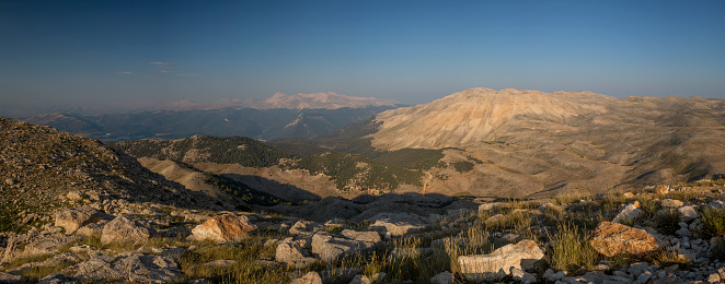 Large Boulder Sits in Grassy Field on the way to Ragged Peak in Yosemite