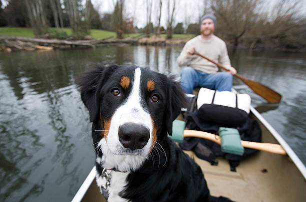 istock Dog With Owner in A Canoe. 116952026