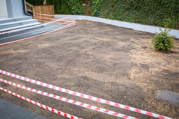 istock Garden with grass seeds planted 1169521084