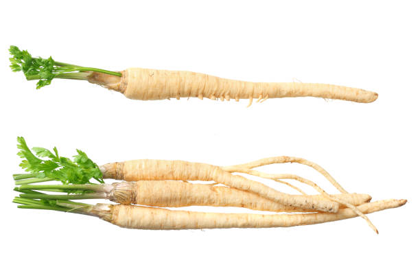 istock fresh parsley root isolated on white background. top view 1169522746