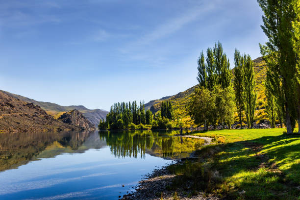 istock Ideal place for a picnic 1169525446