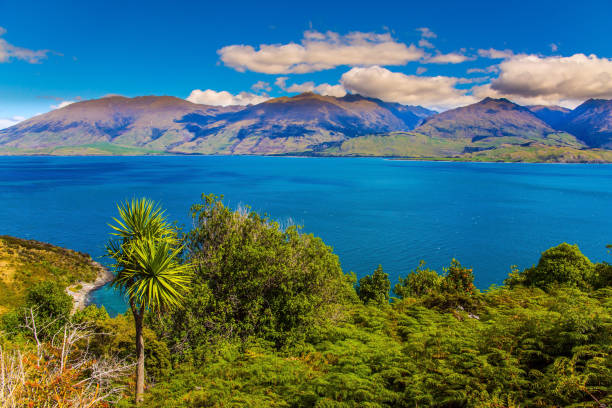 istock The turquoise deepl lake Wanaka 1169525552