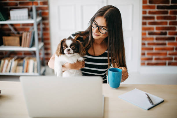 istock Woman working from home 1169526308