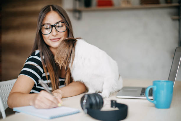 istock Woman working from home 1169526457