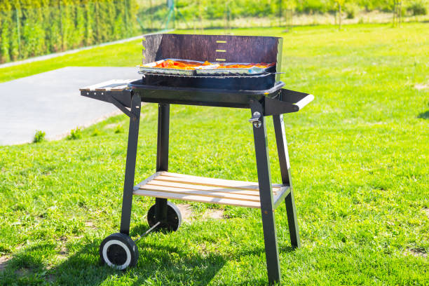 istock Barbecue garden grill 1169527839